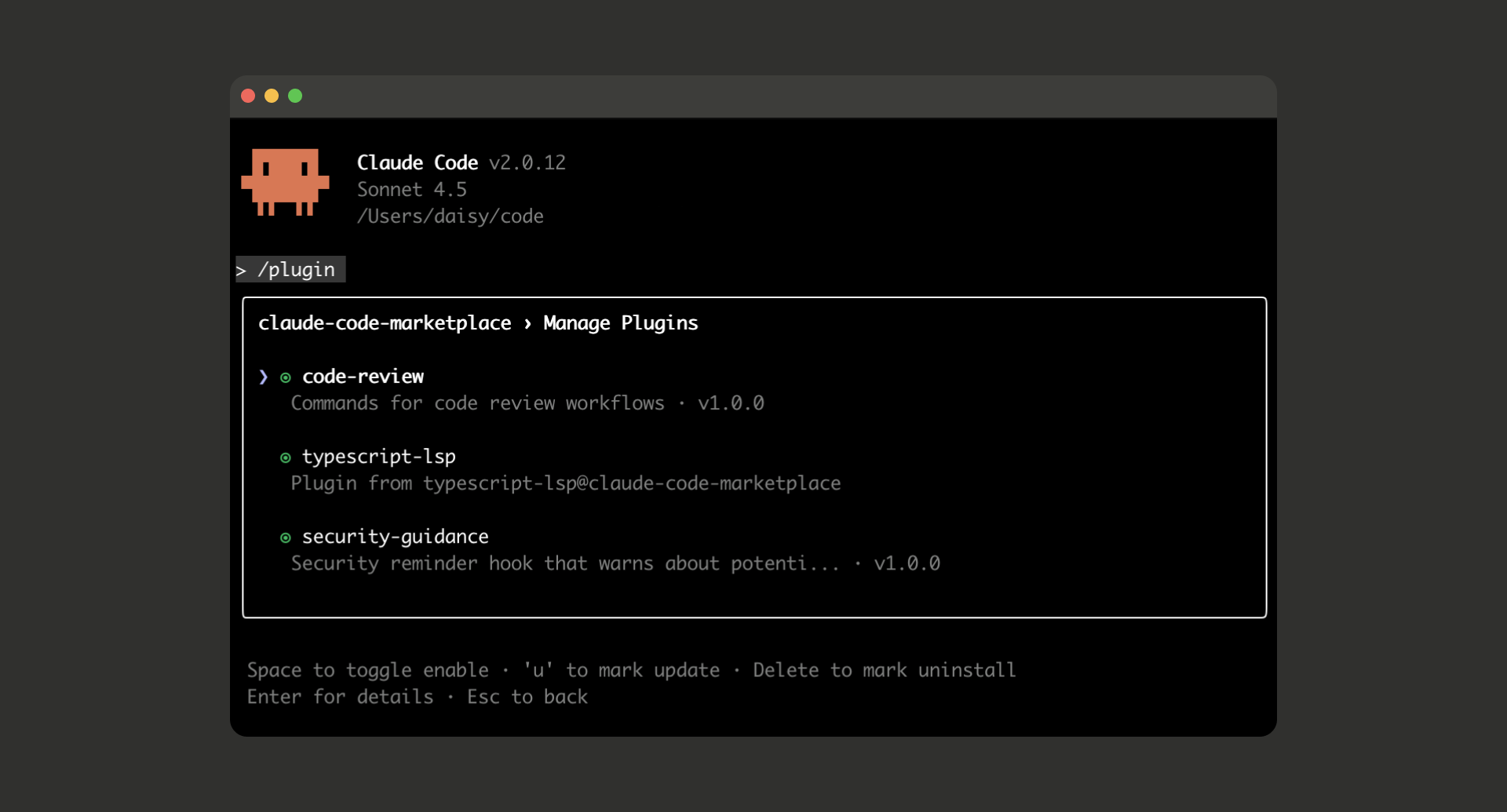 Claude Code 插件概览